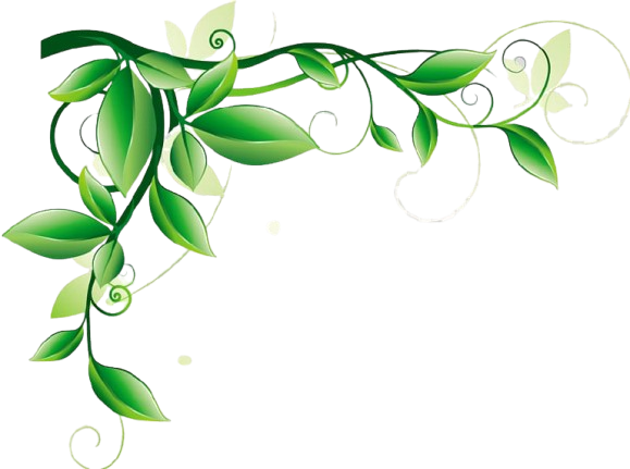 decor1